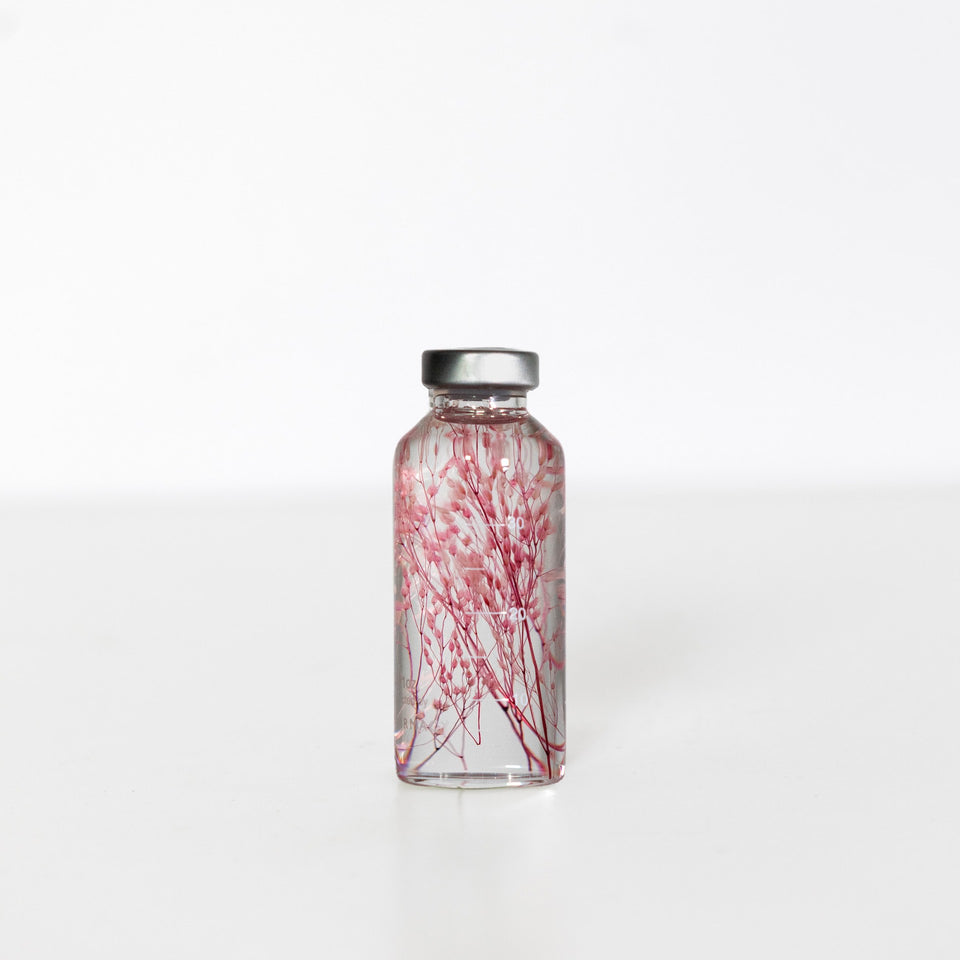 Planzenprobe Peacock grass klein